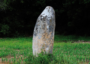 Menhire der Bretagne, kleinste Menhire, Hautes Landes